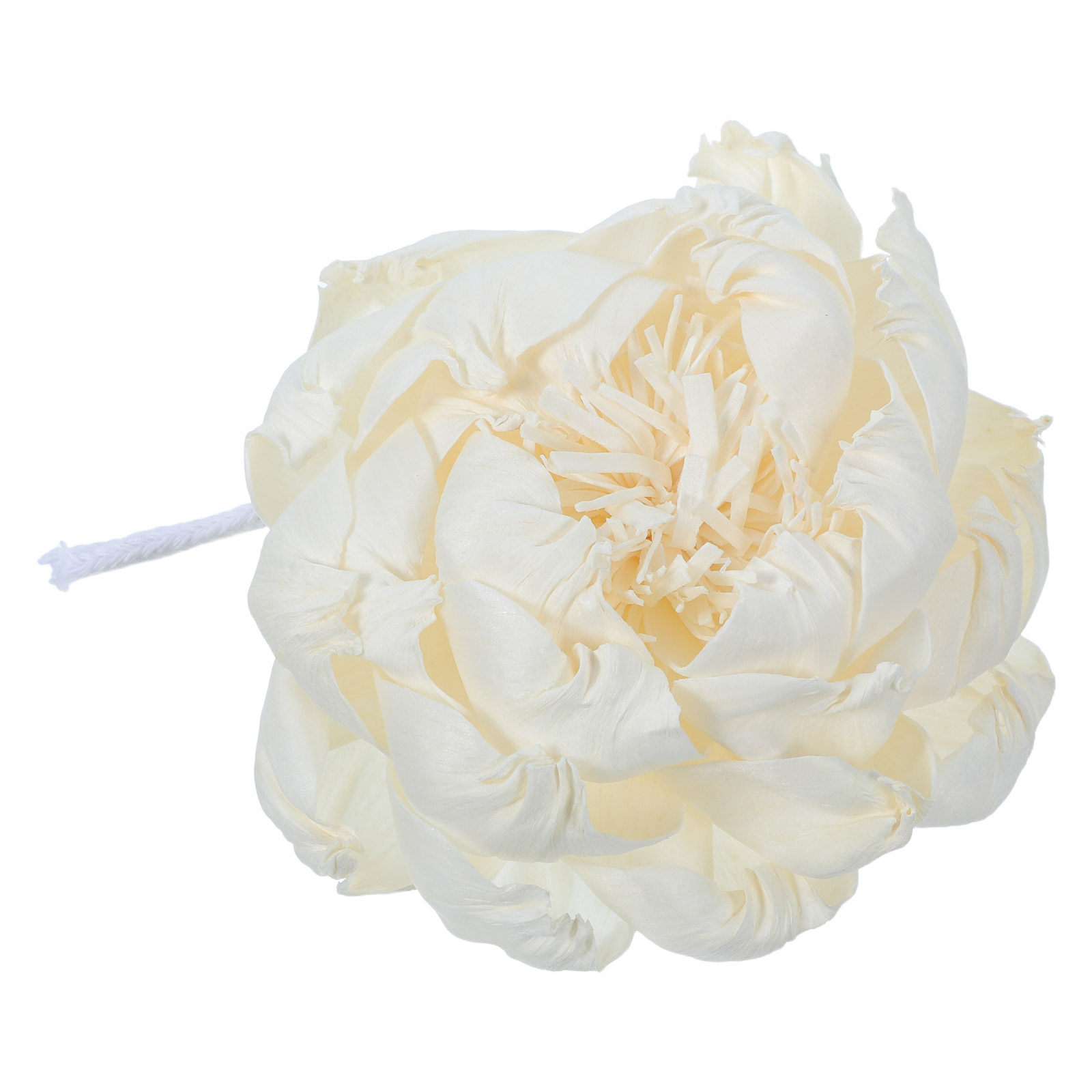 موزع عطر برائحة زهرة الفاونيا  - مراجعة Home Fragrance Usa وسعره
